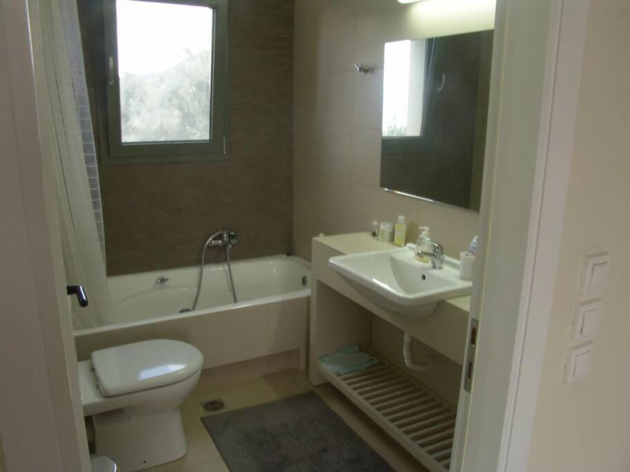 Panoramic View Summerhouse Loukissia Екстер'єр фото