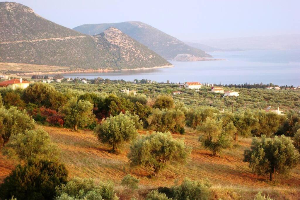 Panoramic View Summerhouse Loukissia Екстер'єр фото
